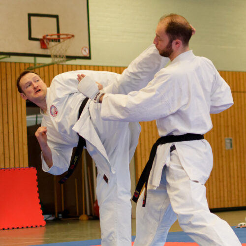 Emeskai Karate_Kampfszene