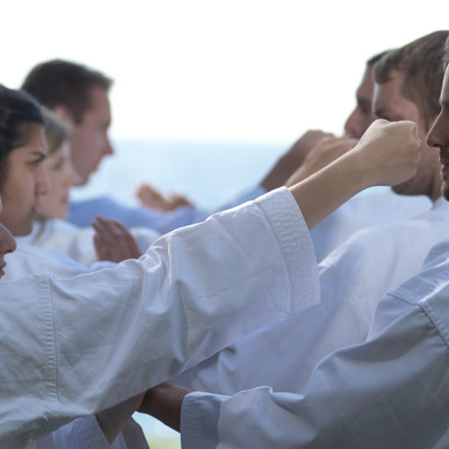 Emeskai Karate_Training
