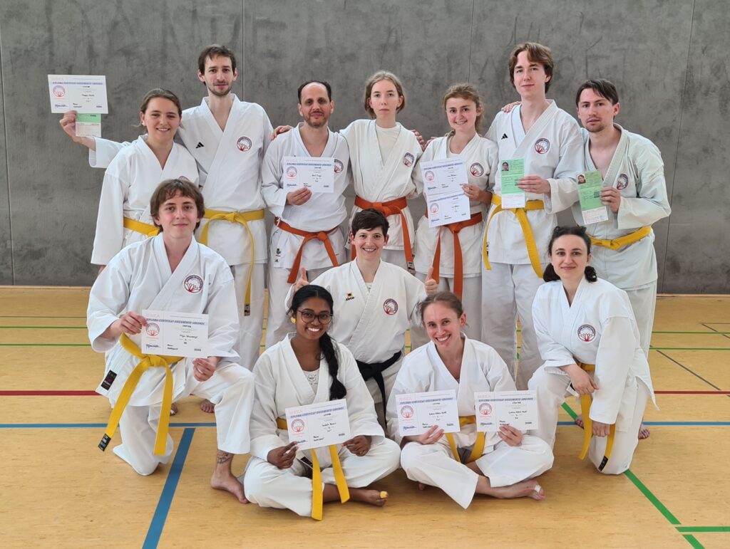 Team Wien3